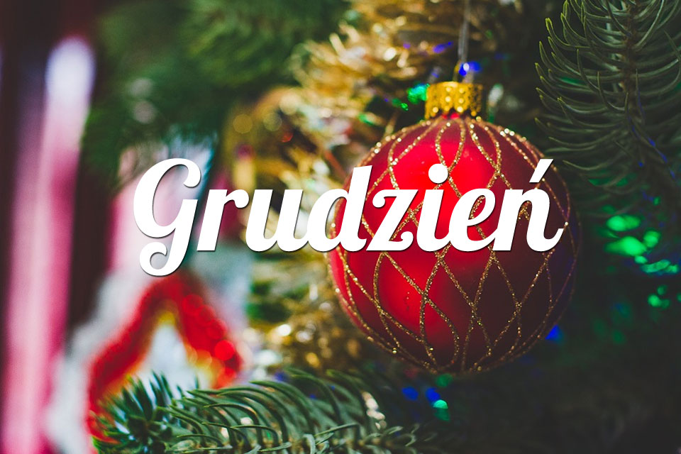 Ryby Grudzień 2026