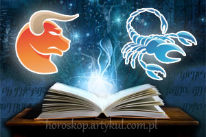 Byk + Skorpion - horoskop partnerski